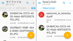 ファイルがドロップ先にコピー・移動