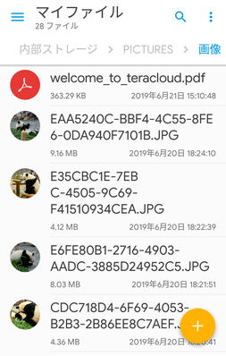 ファイルがローカルにコピー