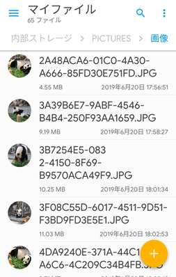 ローカルファイルを表示