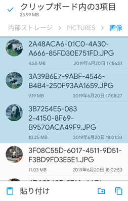 「コピー」アイコンをタップ