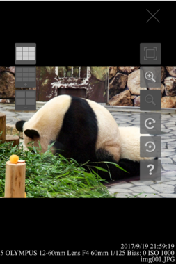 画像ビューワー